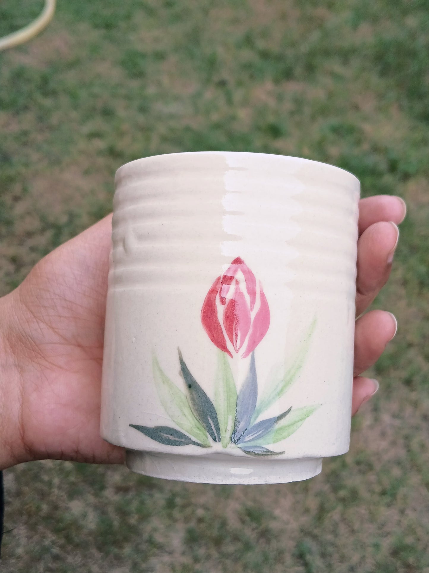 Tulip Cup