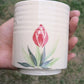 Tulip Cup