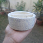 Khajoor Divider Bowl