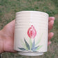 Tulip Cup