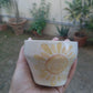 Hand-Painted Sunshine Pot