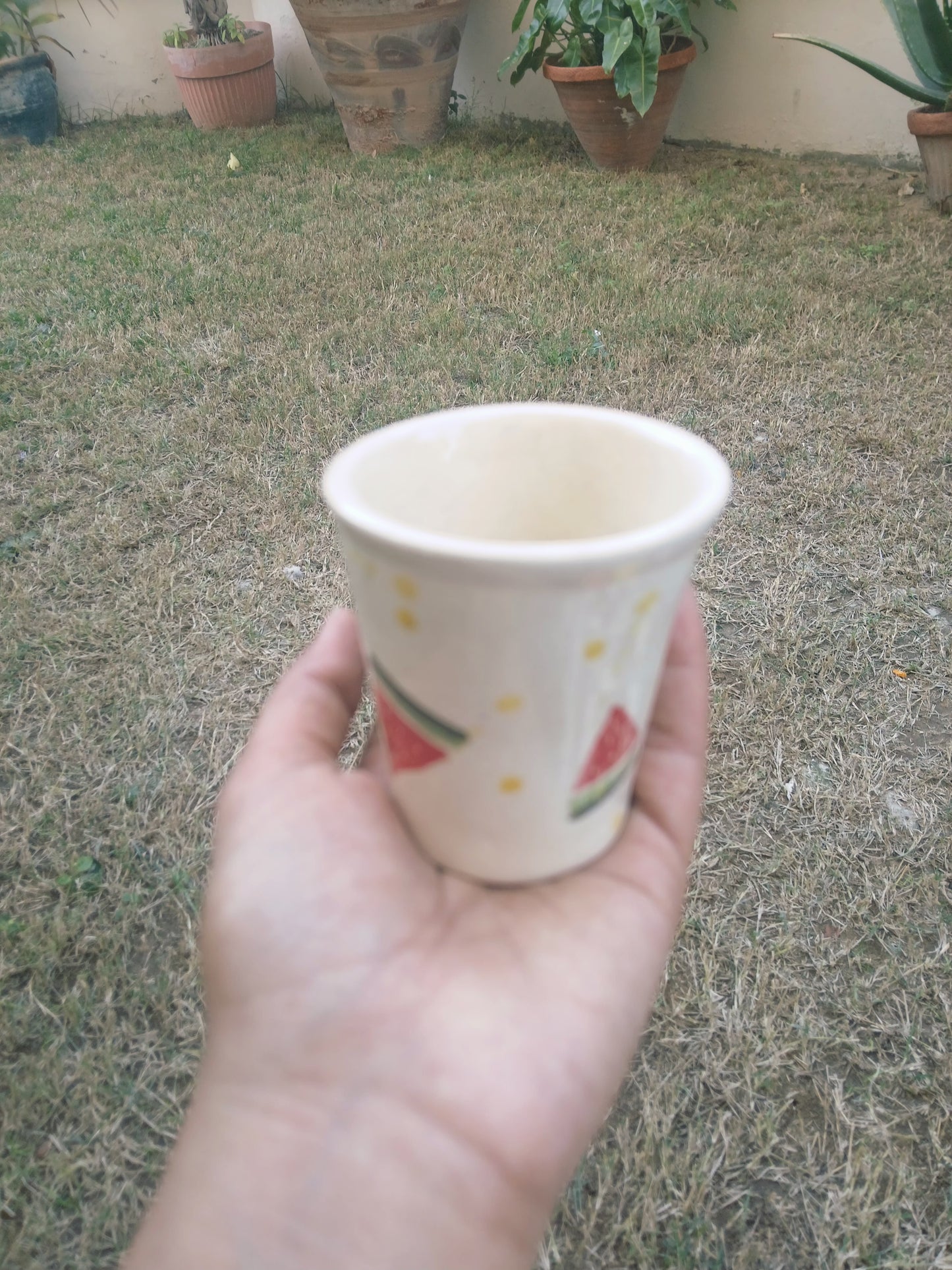 Watermelon Small Glass